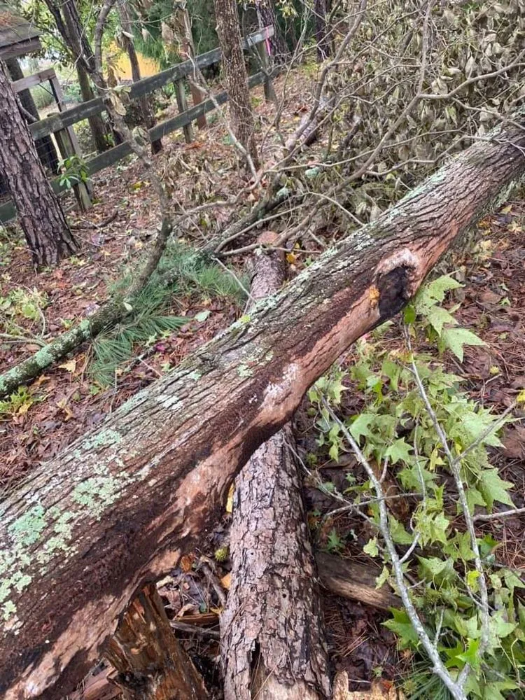 Reliable yard cleanup service in Winder, GA by Heartland Rocks