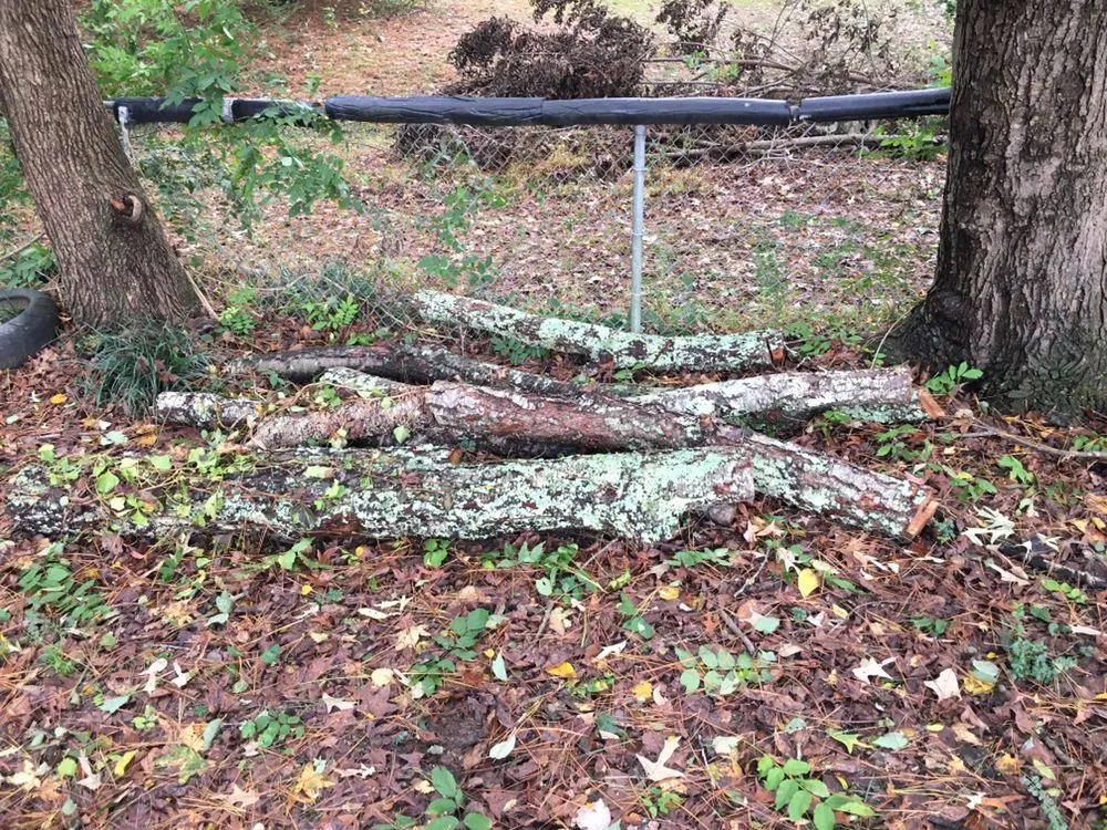 Trusted residential landscaping experts serving Winder, GA - Heartland Rocks