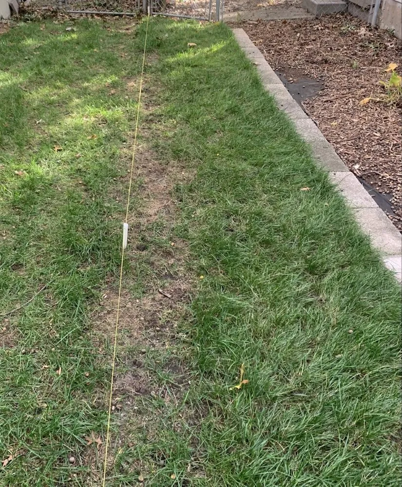 Local lawn care service experts serving Leawood, KS - Heartland Turf and Landscape