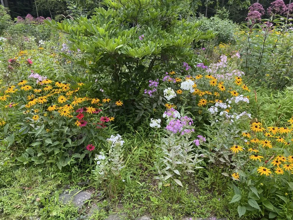 Affordable residential landscaping for beautiful yards across Olivebridge, NY - Hearts Bend Landscaping