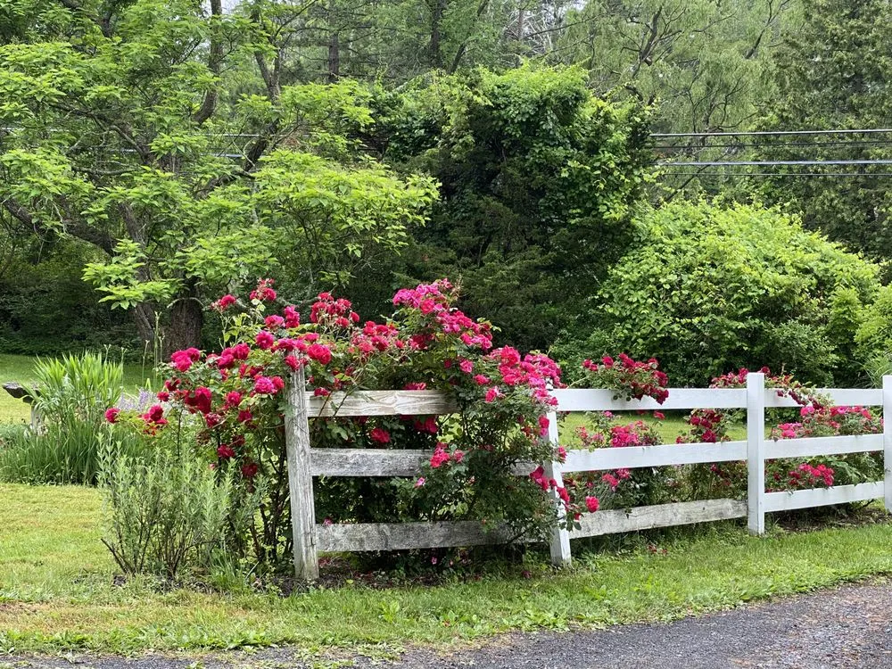 Local residential landscaping experts serving Olivebridge, NY - Hearts Bend Landscaping