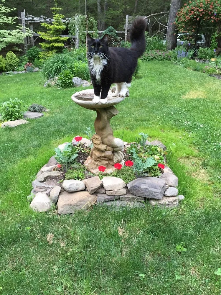 Trusted garden landscaping in Olivebridge, NY by Hearts Bend Landscaping