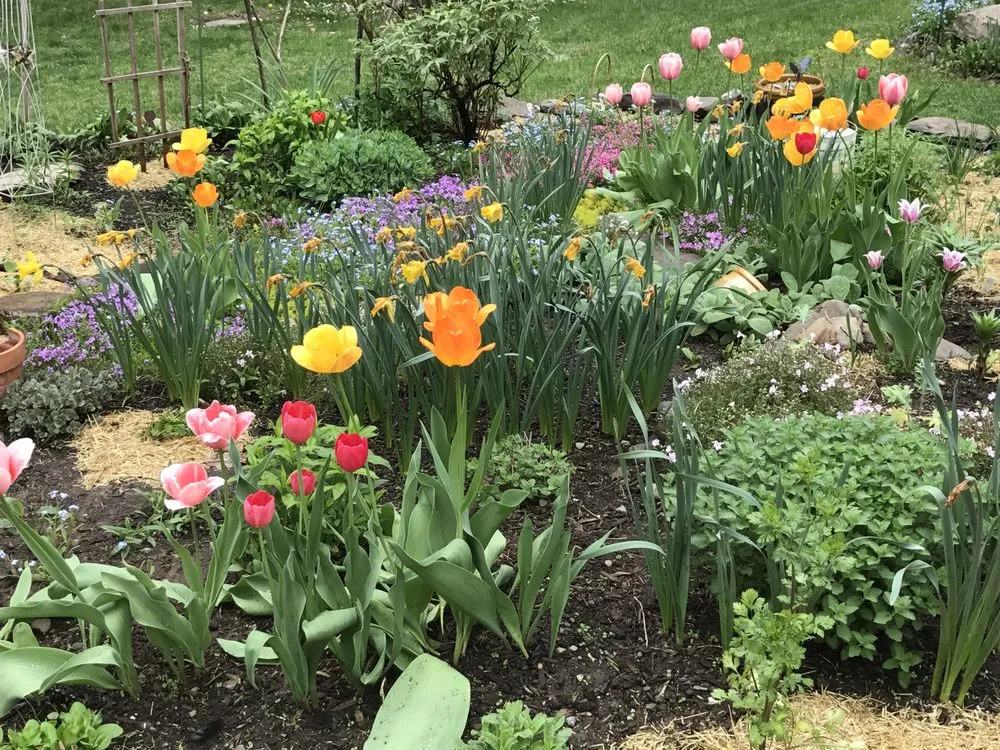 Trusted landscaping services for homes across Olivebridge, NY - Hearts Bend Landscaping