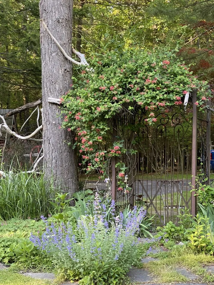 Reliable outdoor landscaping in Olivebridge, NY by Hearts Bend Landscaping