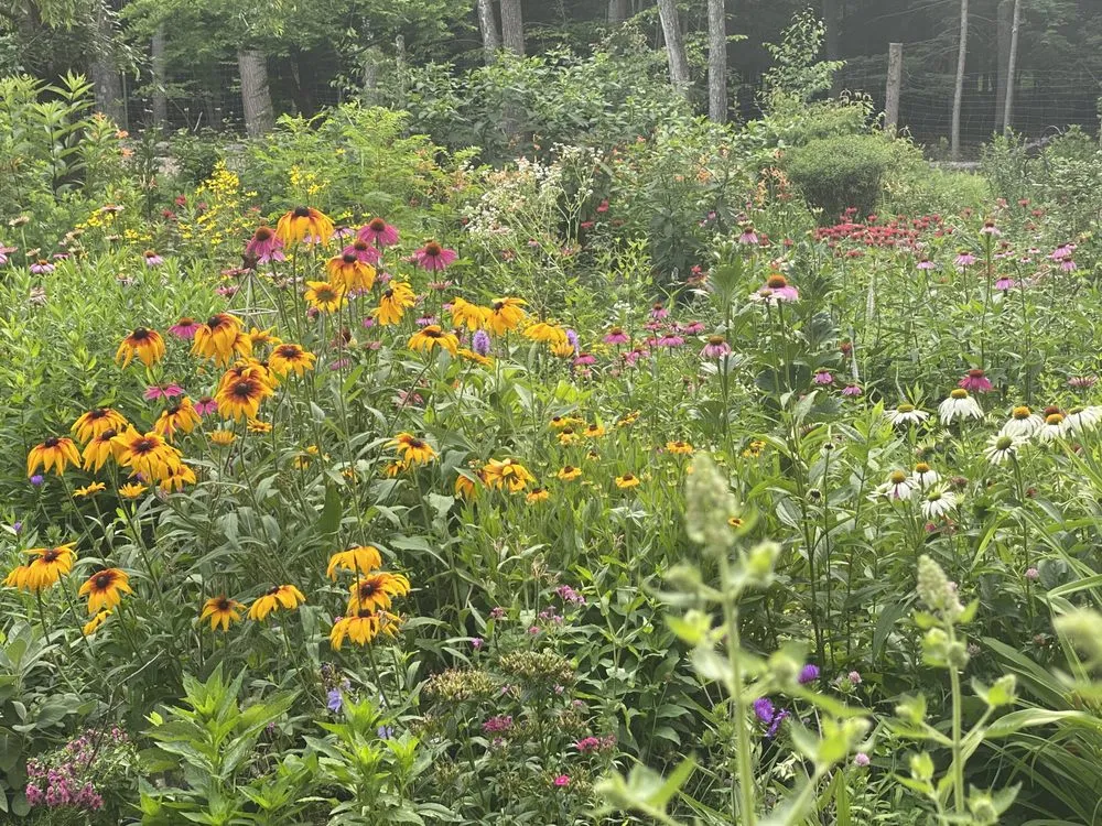Affordable residential landscaping in Olivebridge, NY - Hearts Bend Landscaping