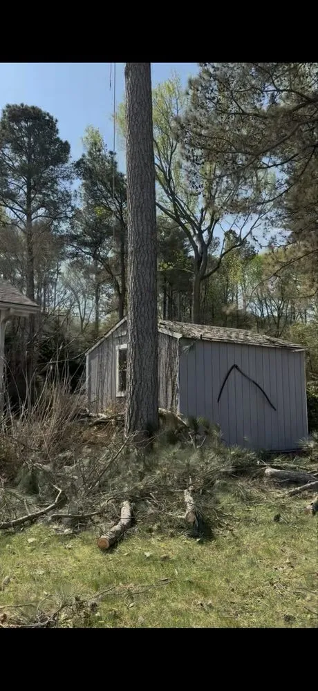 Top-rated yard cleanup service experts serving Woodford, VA - Heartwood Tree Service And Landscaping