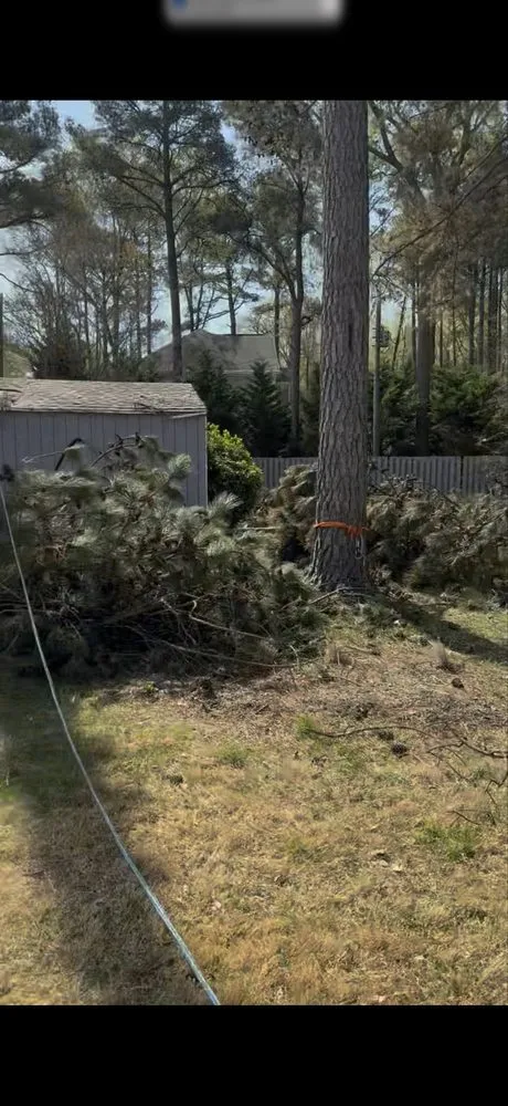 Trusted residential landscaping in Woodford, VA - Heartwood Tree Service And Landscaping
