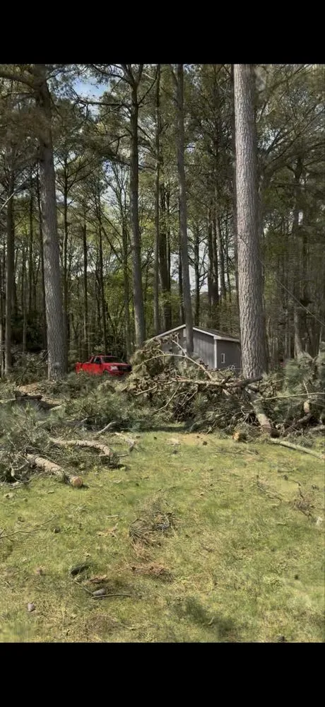 Local yard maintenance experts serving Woodford, VA - Heartwood Tree Service And Landscaping