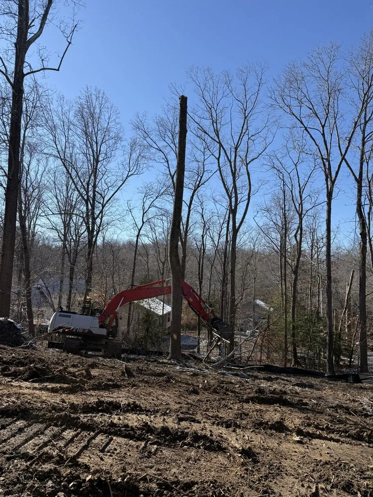 Reliable yard maintenance for year-round maintenance across Woodford, VA - Heartwood Tree Service And Landscaping