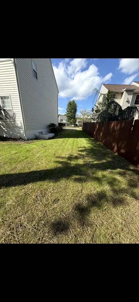Professional landscape installation near you across Woodford, VA - Heartwood Tree Service And Landscaping