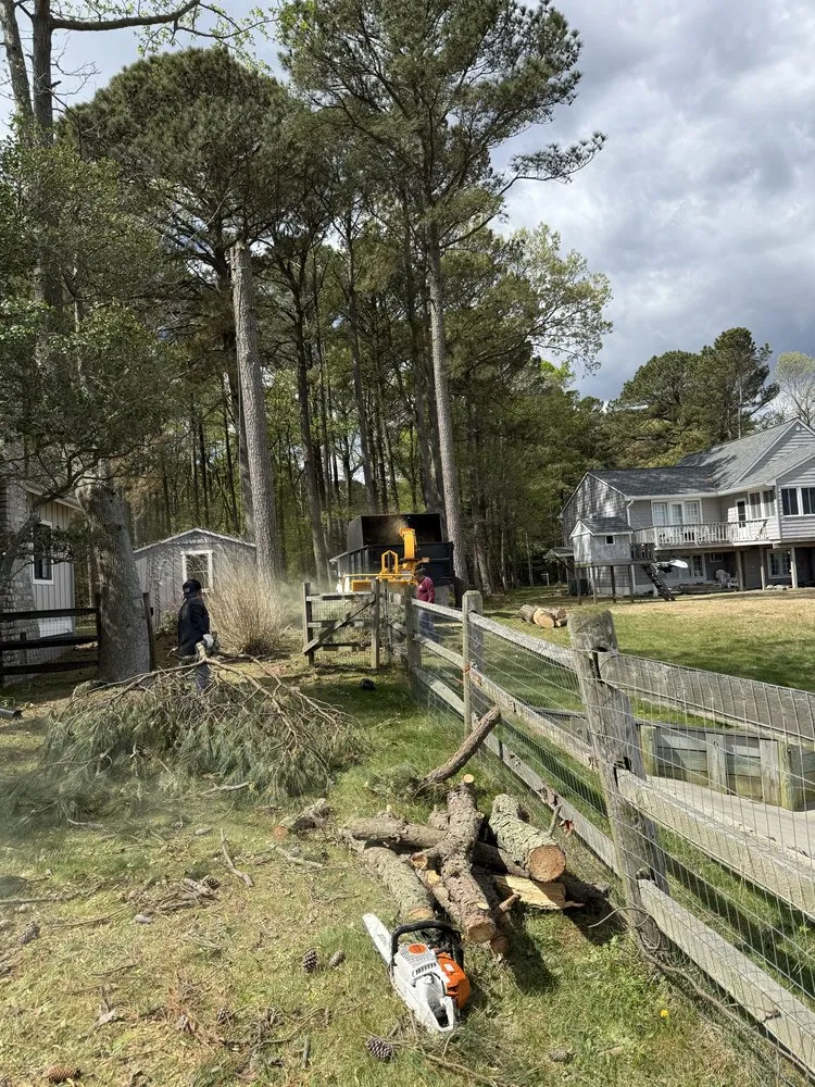 Trusted outdoor landscaping for year-round maintenance across Woodford, VA - Heartwood Tree Service And Landscaping