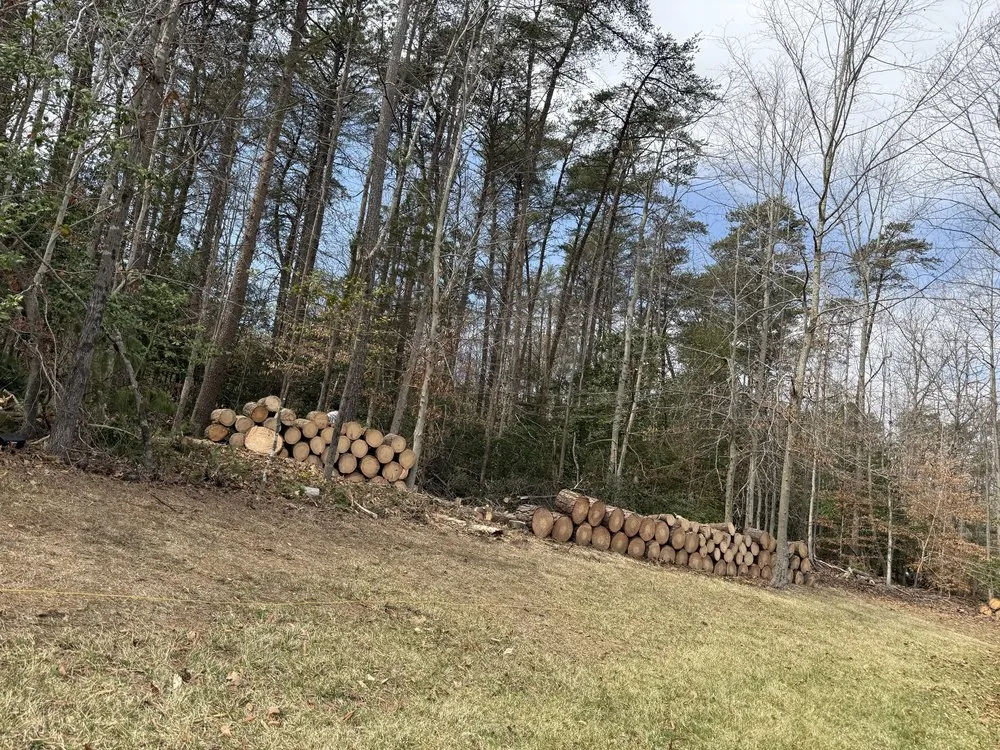 Expert landscaping services for homes in Woodford, VA by Heartwood Tree Service And Landscaping