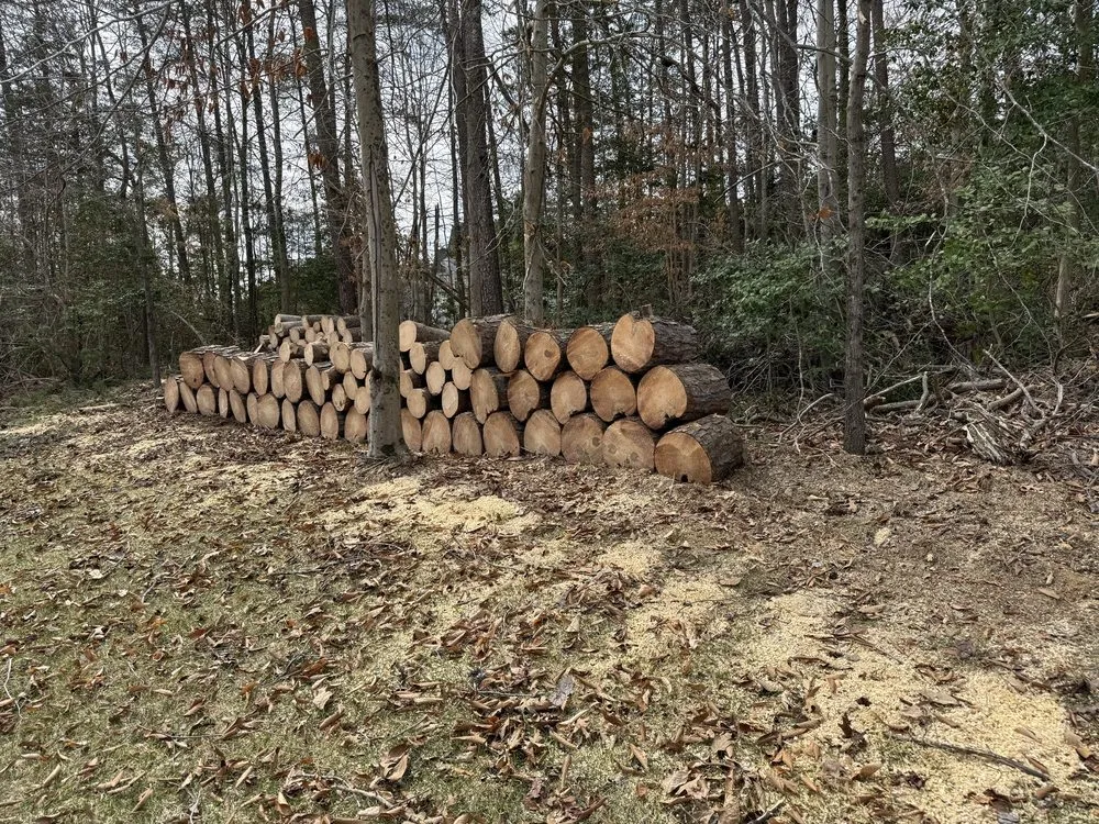 Reliable yard cleanup service in Woodford, VA - Heartwood Tree Service And Landscaping