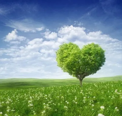 Heartwood Tree Service And Landscaping Logo