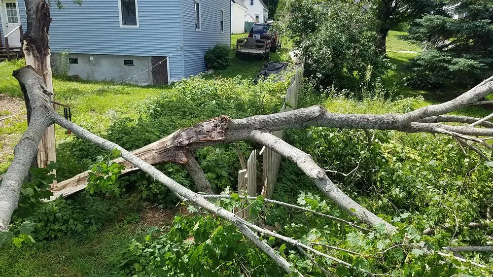 Professional landscape installation for year-round maintenance in Kenduskeag, ME by Heath Enterprises