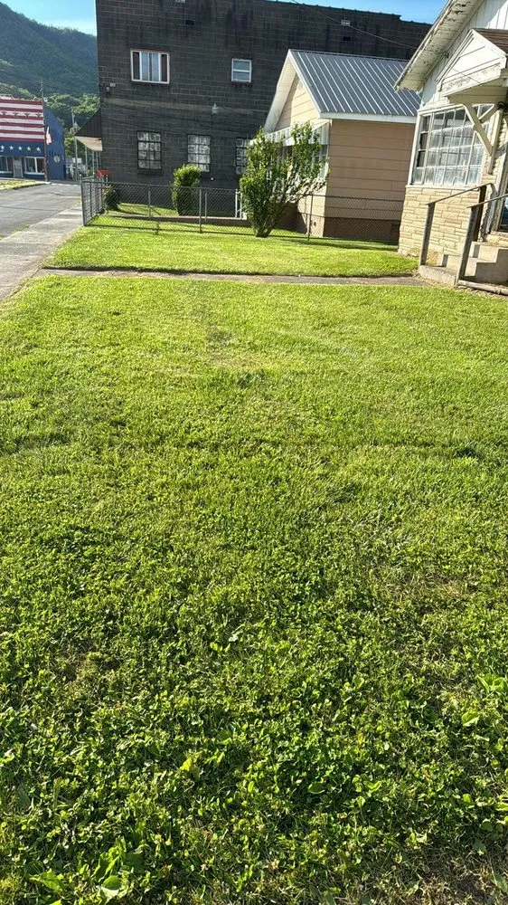 Affordable lawn mowing service experts serving Rainelle, WV - Heathen Lawn Care