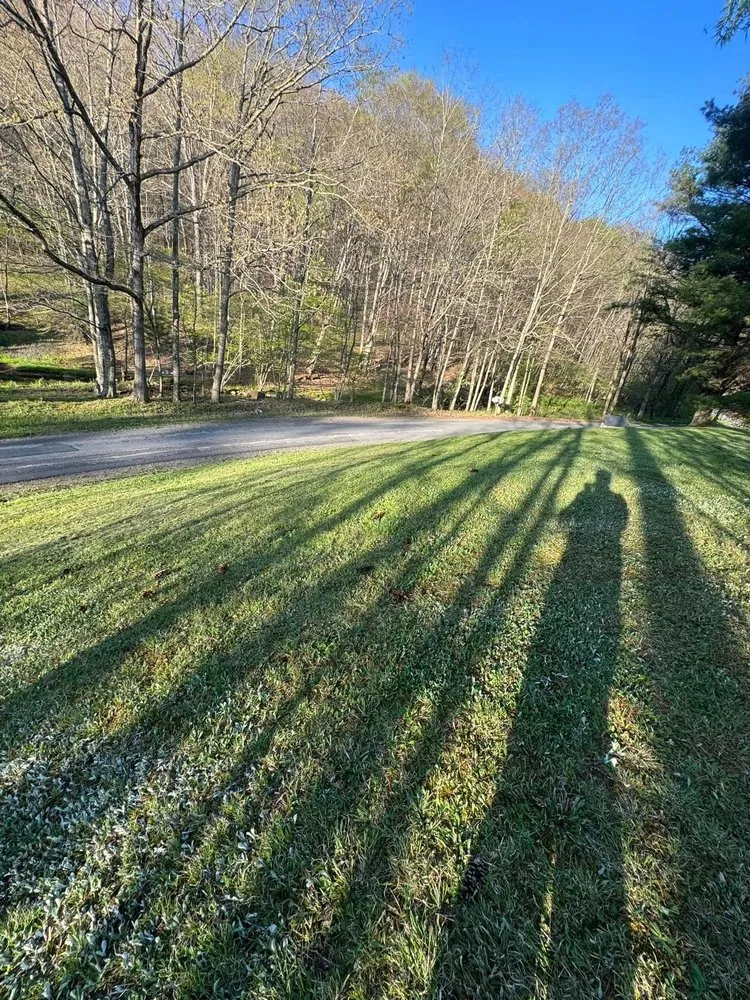 Expert yard maintenance for homes across Rainelle, WV - Heathen Lawn Care