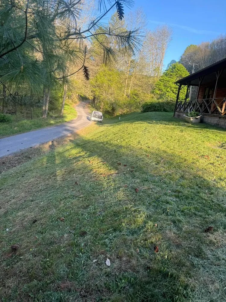 Affordable yard cleanup service for residential properties in Rainelle, WV by Heathen Lawn Care