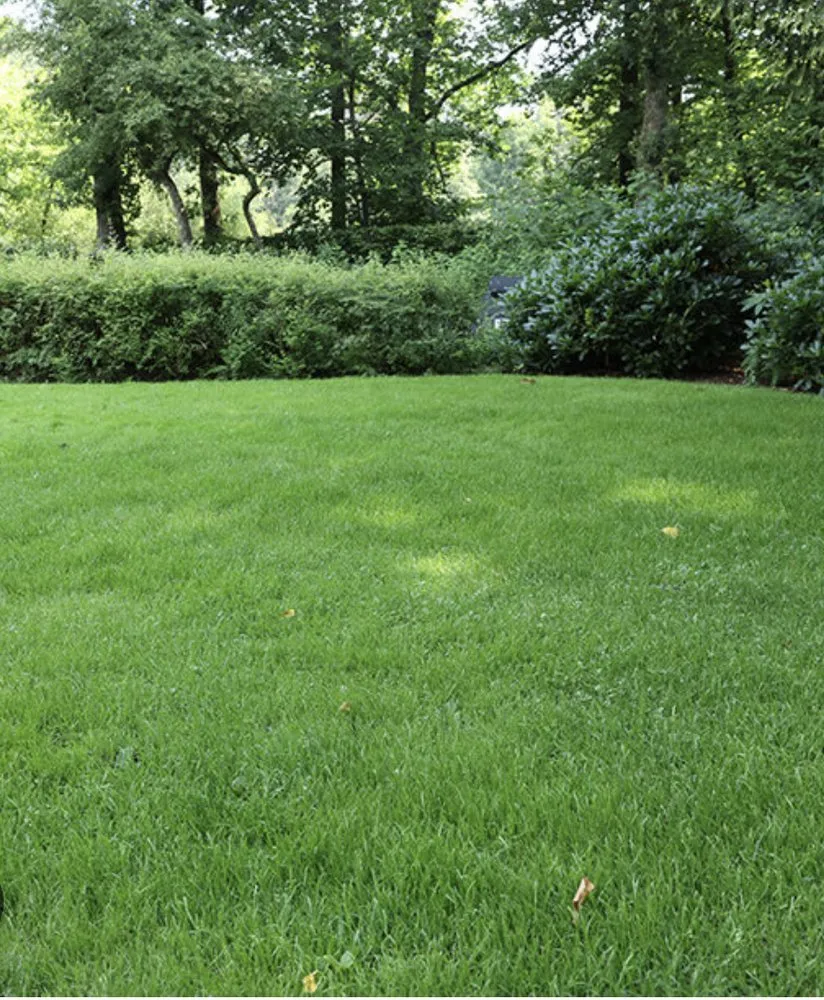 Professional residential landscaping for beautiful yards across Lyman, SC - Heatherlys Lawn Care