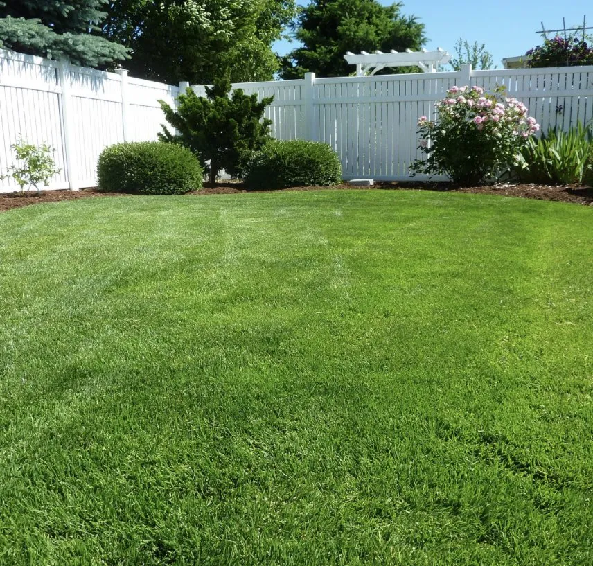 Affordable yard maintenance for beautiful yards across Lyman, SC - Heatherlys Lawn Care