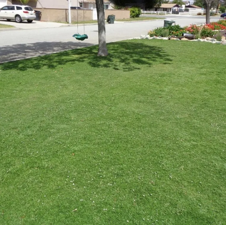 Local landscape design in Lyman, SC - Heatherlys Lawn Care