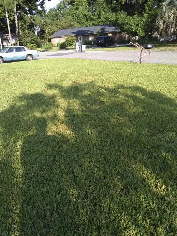 Expert lawn mowing service in Orange Park, FL by Heather's Lawn Service