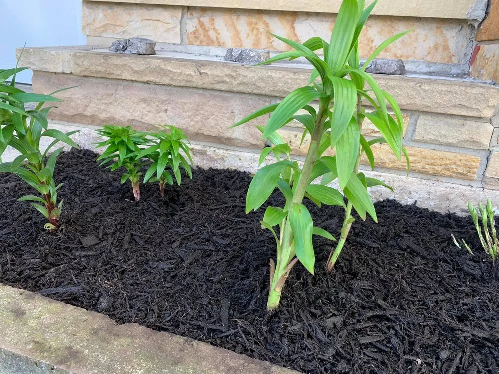 Local yard maintenance in Danville, PA - Heath’s Home and Lawn