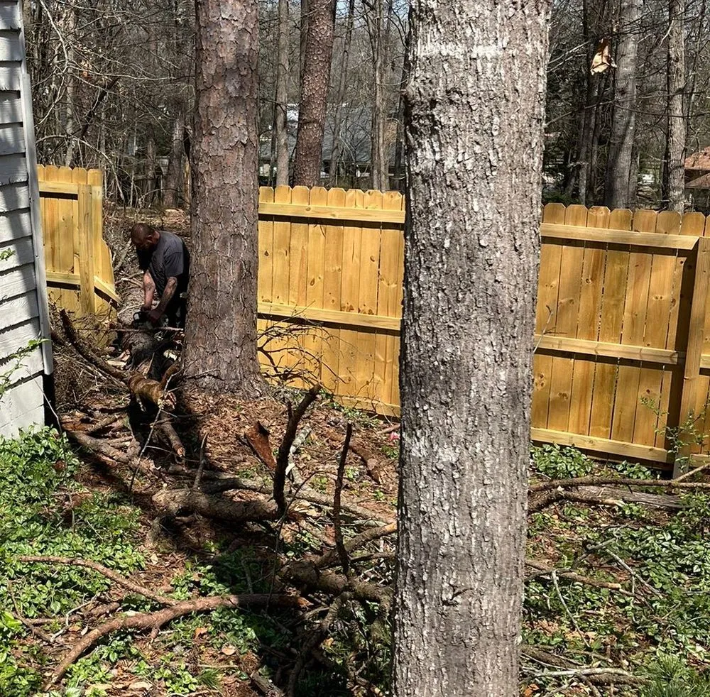 Local outdoor landscaping for beautiful yards across Jefferson, GA - Heath's Insured Tree Service