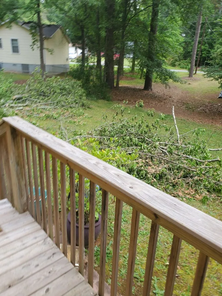 Top-rated lawn care service experts serving Jefferson, GA - Heath's Insured Tree Service