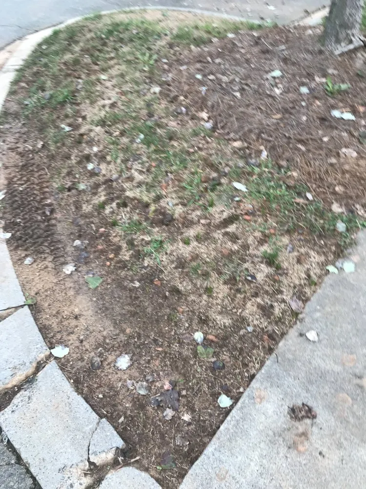 Reliable yard cleanup service near you across Indian Trail, NC - Heaven and Earth Landscaping