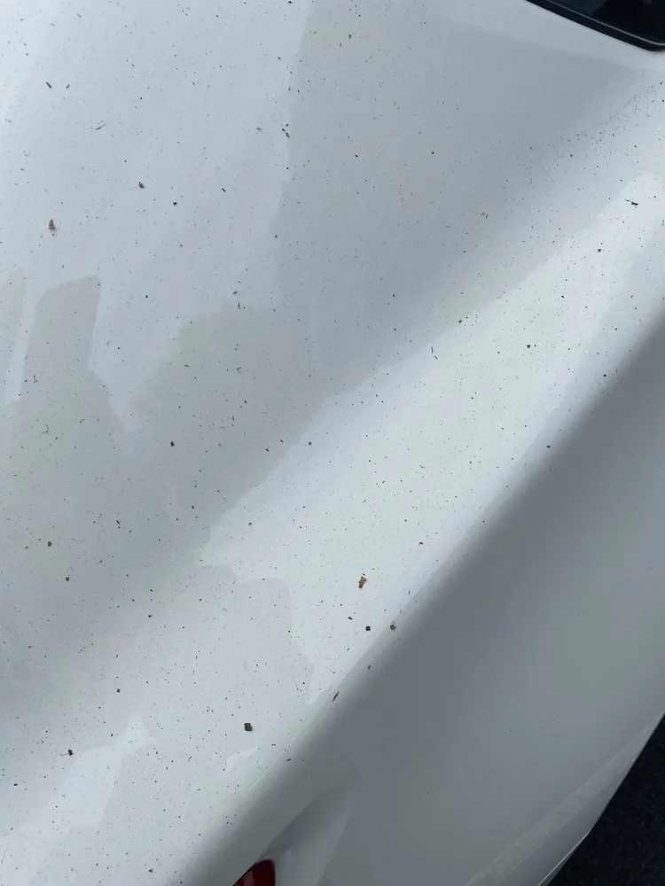 Top-rated garden landscaping in Indian Trail, NC - Heaven and Earth Landscaping