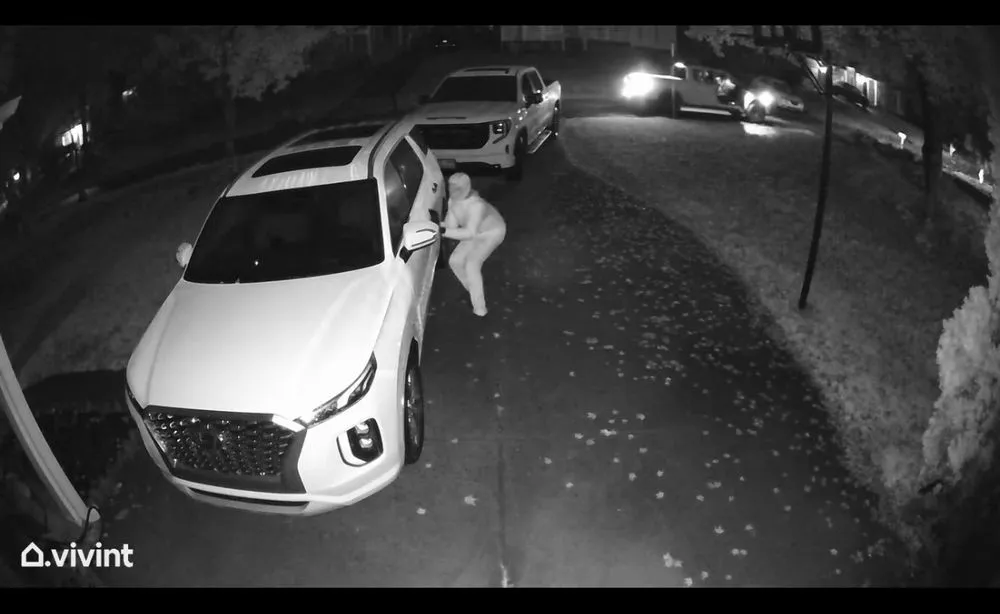 Professional yard maintenance experts serving Indian Trail, NC - Heaven and Earth Landscaping