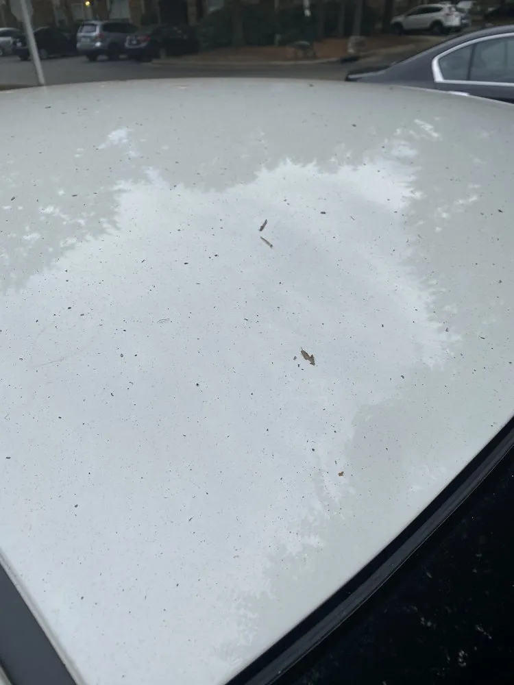 Expert residential landscaping experts serving Indian Trail, NC - Heaven and Earth Landscaping