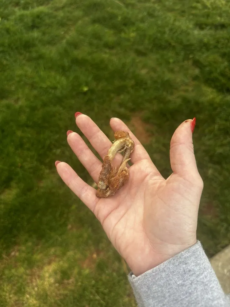 Local garden landscaping in Indian Trail, NC by Heaven and Earth Landscaping