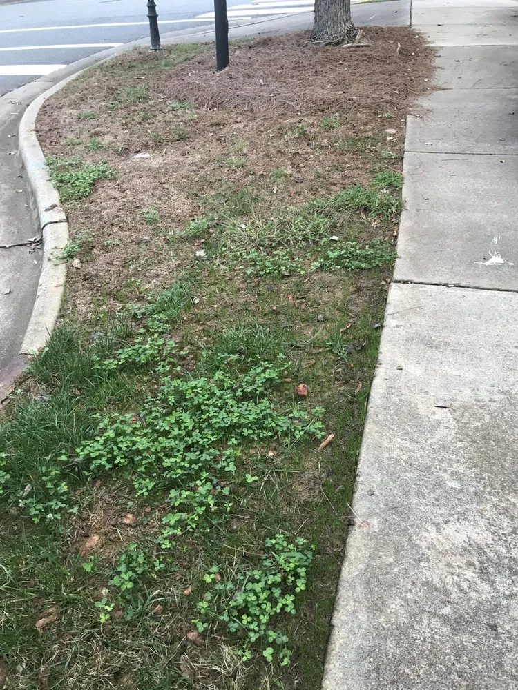 Trusted outdoor landscaping in Indian Trail, NC by Heaven and Earth Landscaping