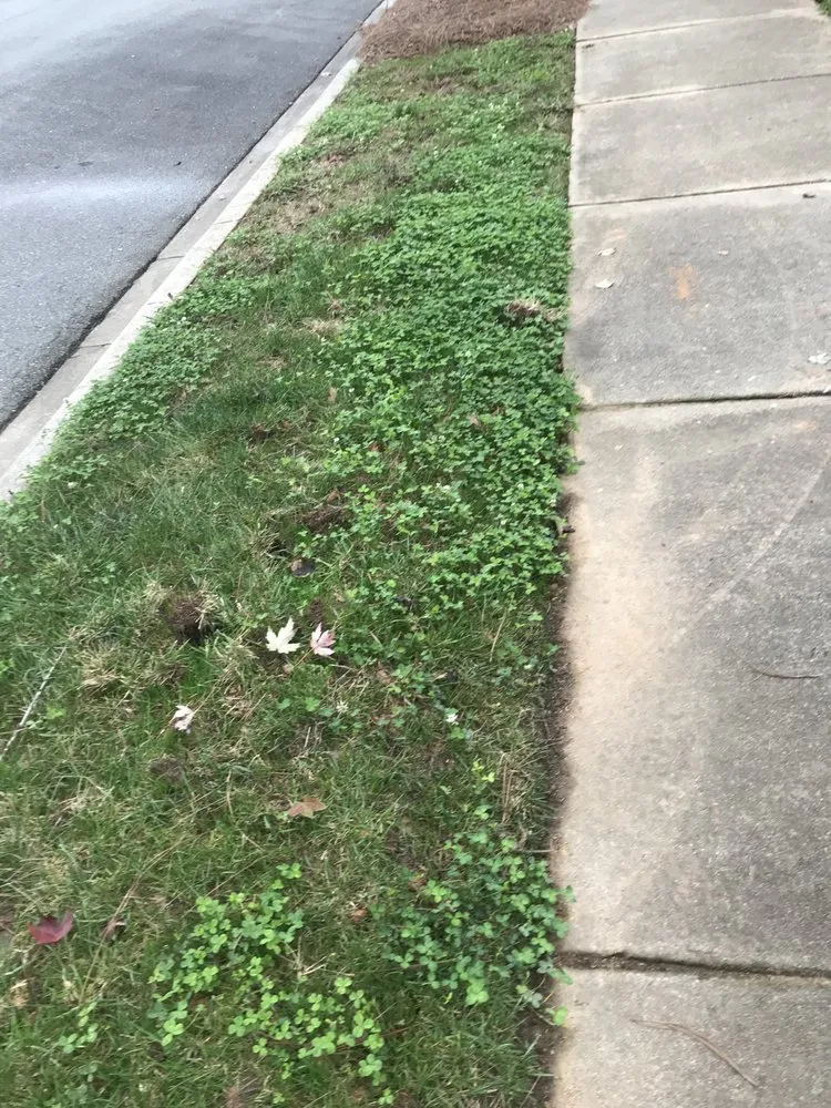 Affordable garden landscaping in Indian Trail, NC - Heaven and Earth Landscaping