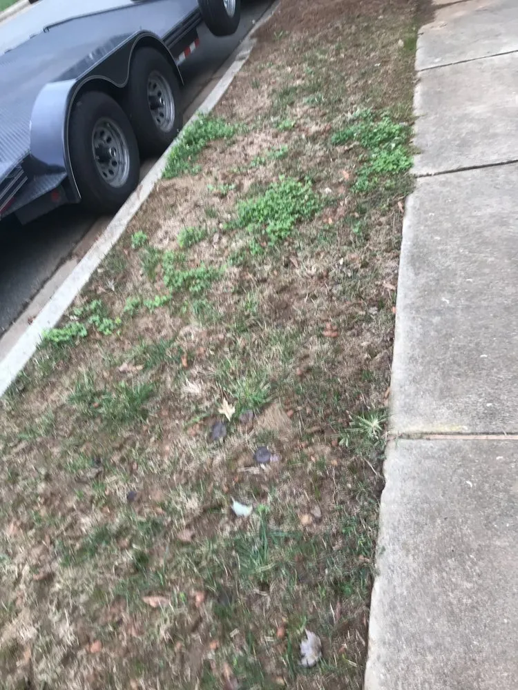 Affordable residential landscaping experts serving Indian Trail, NC - Heaven and Earth Landscaping