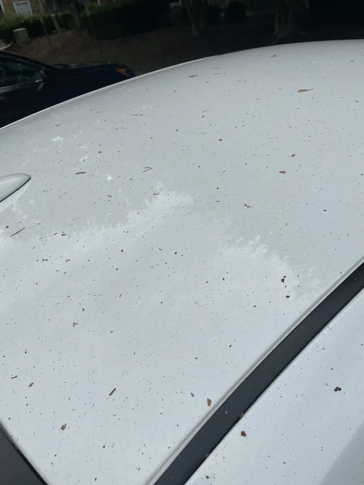 Local residential landscaping in Indian Trail, NC by Heaven and Earth Landscaping