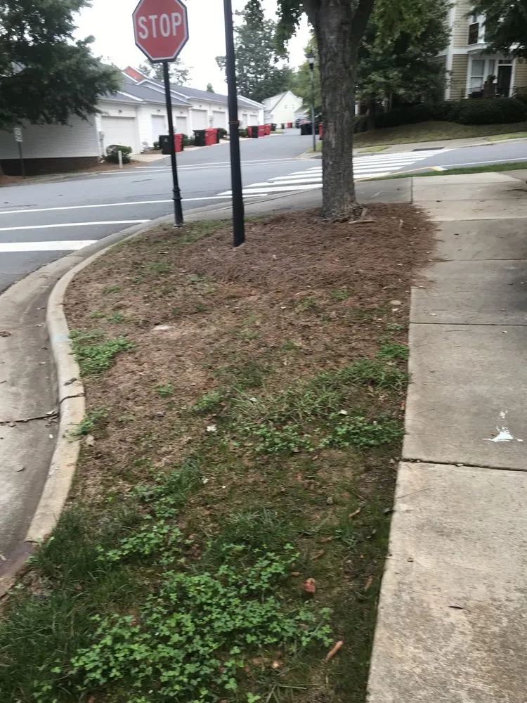 Affordable garden landscaping for homes in Indian Trail, NC by Heaven and Earth Landscaping