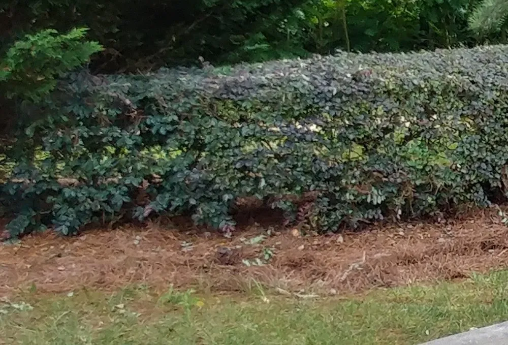 Custom residential landscaping in Indian Trail, NC by Heaven and Earth Landscaping