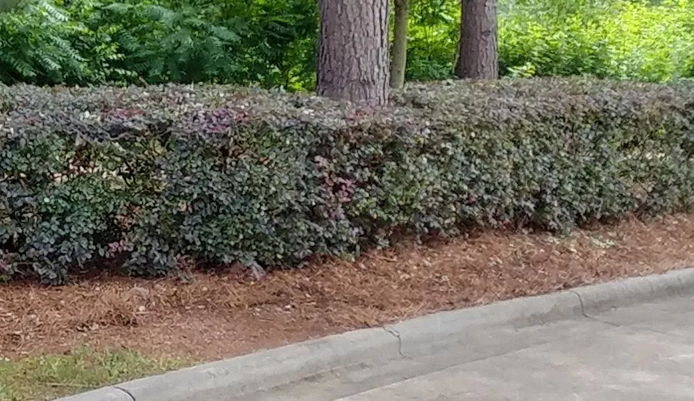 Reliable landscape installation experts serving Indian Trail, NC - Heaven and Earth Landscaping