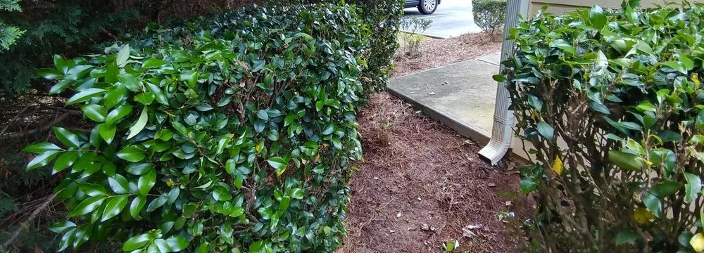 Expert landscape installation experts serving Indian Trail, NC - Heaven and Earth Landscaping