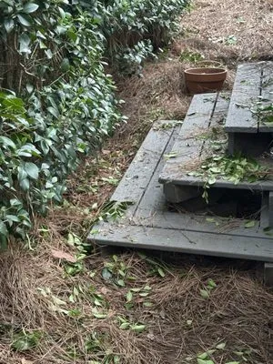 Heaven and Earth Landscaping