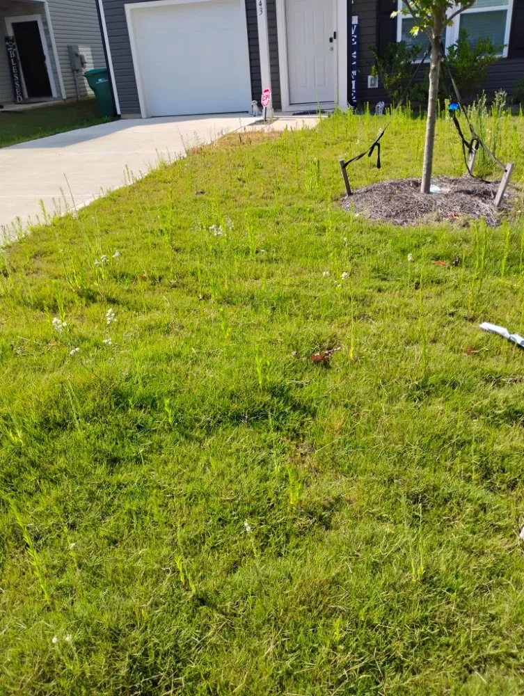 Expert garden landscaping for residential properties in Albemarle, NC by Heaven Green