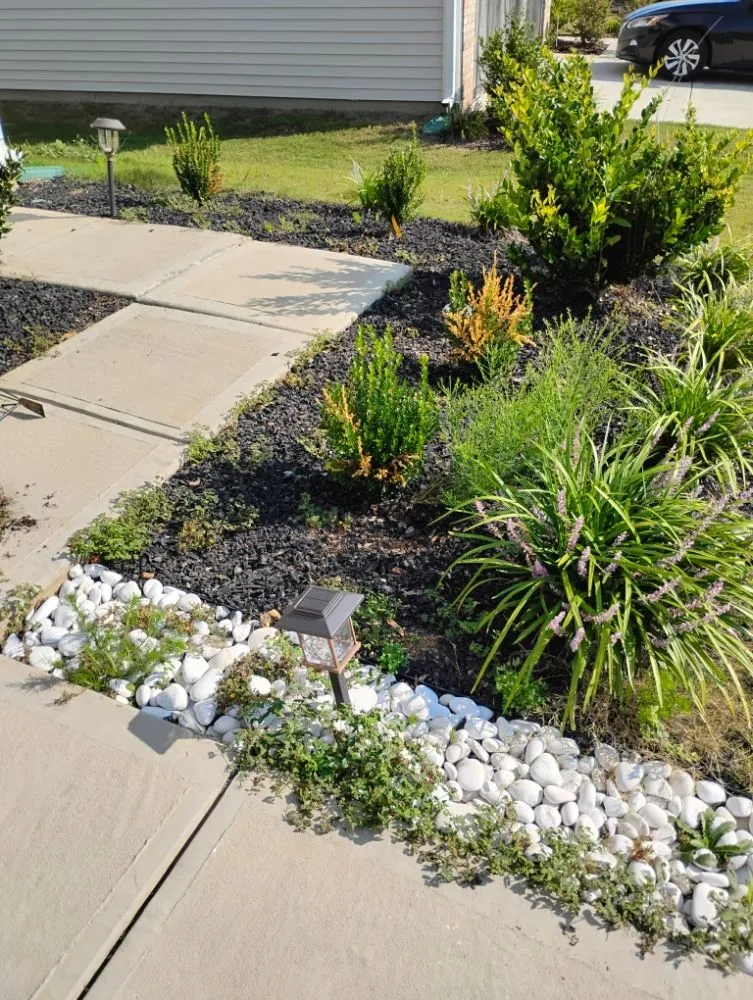 Trusted landscaping services for residential properties in Albemarle, NC by Heaven Green