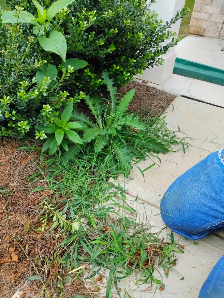 Top-rated landscaping services in Albemarle, NC by Heaven Green