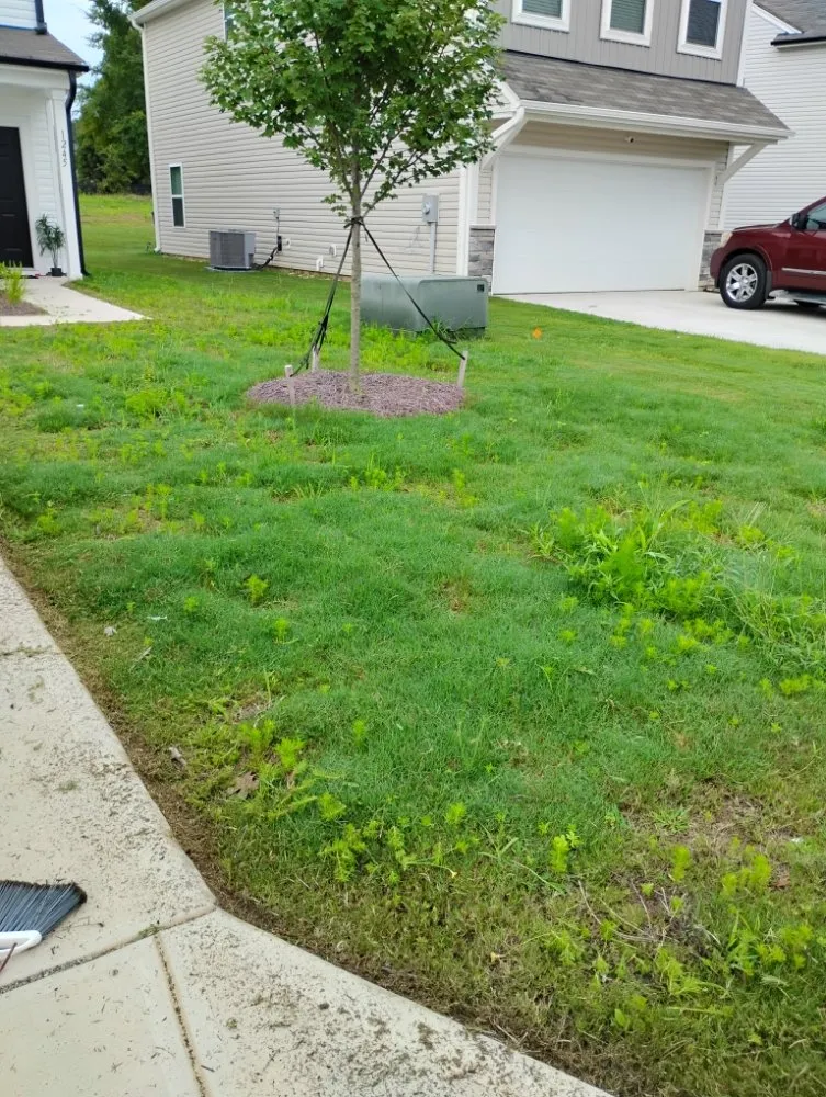 Affordable residential landscaping for outdoor upgrades in Albemarle, NC by Heaven Green