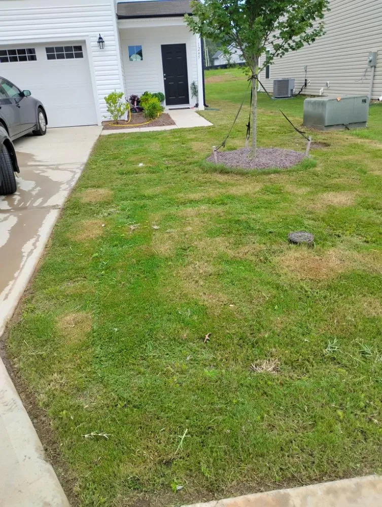 Custom lawn care service in Albemarle, NC - Heaven Green