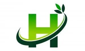 Affordable yard cleanup service experts serving Beaufort, SC - Heaven Landscape