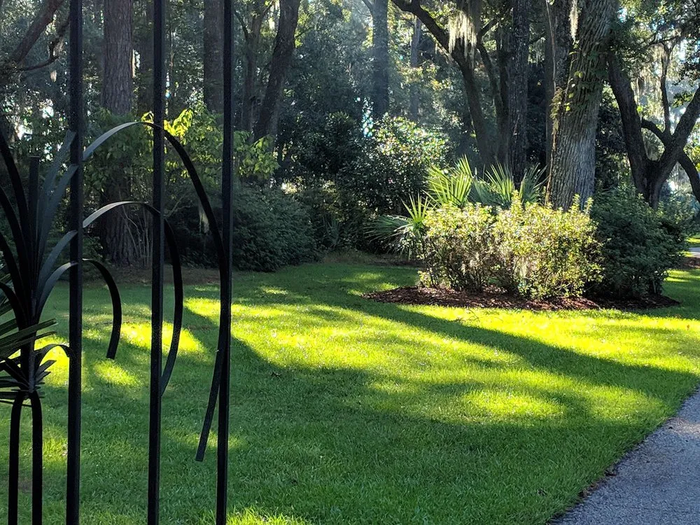 Reliable yard cleanup service in Beaufort, SC by Heaven Landscape